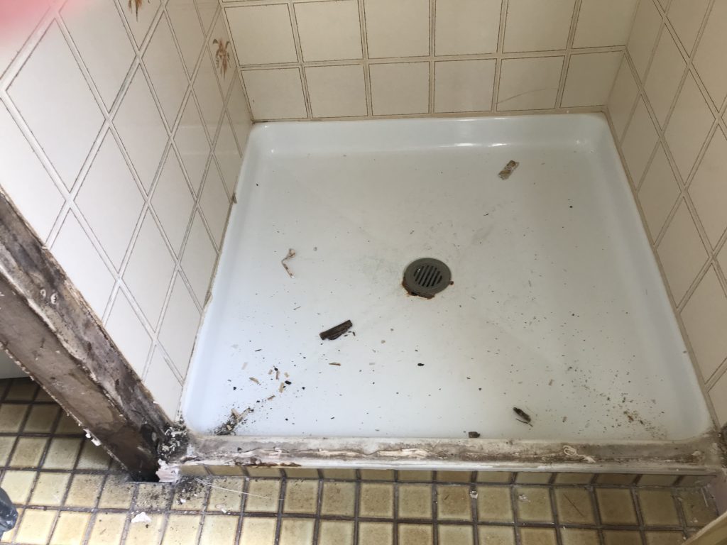rusted out edge on shower tray